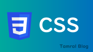CSS_Visual